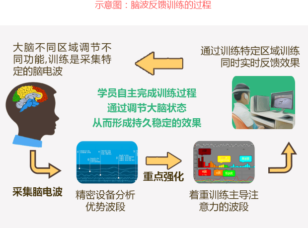 腦電訓練過程圖.gif